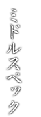 ミドルスペック
