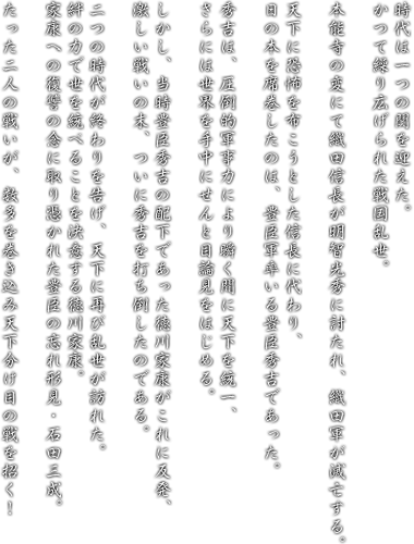 時代は一つの関を迎えた。かつて繰り広げられた戦国乱世。本能寺の変にて織田信長が明智光秀に討たれ、織田軍が滅亡する。天下に恐怖を布こうとした信長に代わり、日の本を席巻したのは、豊臣軍率いる豊臣秀吉であった。秀吉は、圧倒的軍事力により瞬く間に天下を統一、さらには世界を手中にせんと目論見をはじめる。しかし、当時豊臣秀吉の配下であった徳川家康がこれに反発、激しい戦いの末、ついに秀吉を打ち倒したのである。二つの時代が終わりを告げ、天下に再び乱世が訪れた。絆の力で世を統べることを決意する徳川家康。家康への復讐の念に取り憑かれた豊臣の忘れ形見・石田三成。たった二人の戦いが、数多を巻き込み天下分け目の戦を招く！